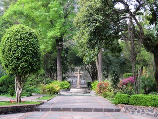 Fototapeta na wymiar Park in San Angel, Mexico city