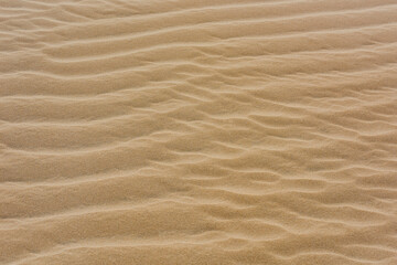 Sand ripples background