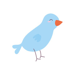 blue bird on a white background
