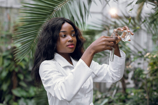 Pretty Young Confident African Woman Scientist Biologist In White Coat Pouring Liquid From Flask Into Test Tube, Making Research In Beautiful Hothouse With Palm Trees.