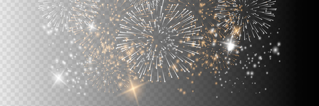 Vector Brightly Colorful Fireworks on the background of the night sky.