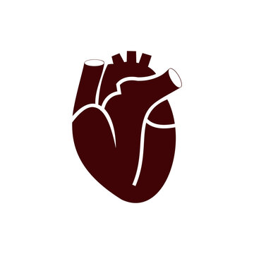 Human heart medical  vector illustration symbol