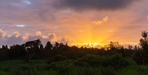sunset over the field