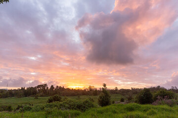sunset over the field