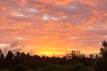 sunset over the forest