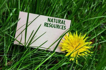Natural resources