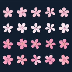 Fototapeta premium Cherry blossoms illustration materials set