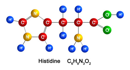 Histidine