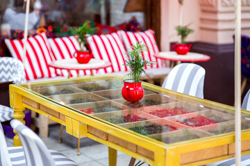 a red teapot flowerpot with a green plant on a glass table inside grows micro greens, a terrace of an eco cafe healthy food with free tables nobody.
