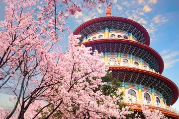 Foto op Canvas beautiflu sakura garden with nice sky in Taipei, Taiwan © nicholashan