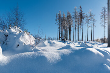 Ilsenburg(Harz) Winter am Kammerberg