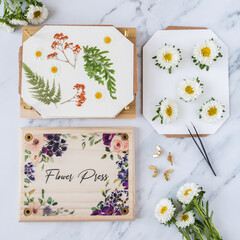 Modern wooden flower press kit