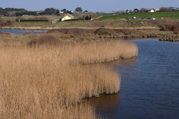 Étang du Loc'h à Larmor Plages en Bretagne