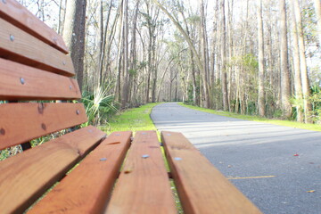 Fototapeta premium bench in the park