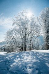 dreamy winter landscape in Les Prés d'Orvin, Swiss Jura
