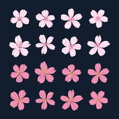 Cherry blossoms illustration materials set