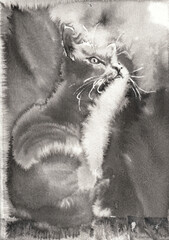 Kitten seating on the fence closeup portrait. Dark background. Hand drawn in china ink on watercolor paper texture