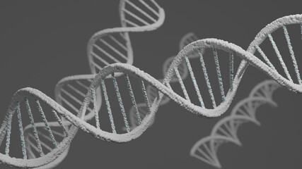 3D rendering DNA structure of human for clone life bio technology gene.