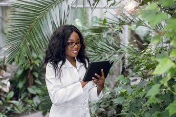 Pretty smiling African American female agronomist supervising plants condition, working in...