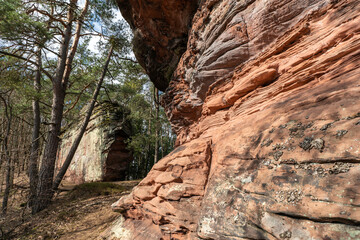 Großer Ferkelstein im Pfälzerwald