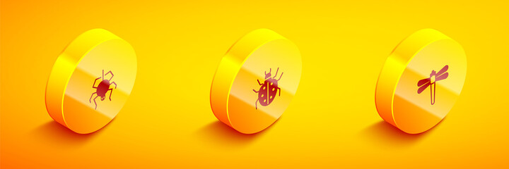 Set Isometric Spider, Mite and Dragonfly icon. Vector.