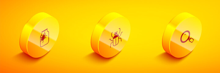 Set Isometric Spider in jar, Stink bug and Magnifying glass icon. Vector.
