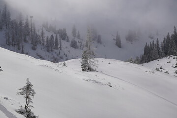 Winterwanderung bei Ettenhausen