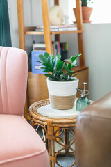 Modern woven basket planter with plant in home