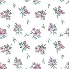 Fototapeta na wymiar Watercolor floral pattern. Apple tree flowers. Design for printing on textiles, packaging, wallpaper.