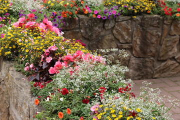 Fototapeta na wymiar Mit bunten Blumen bepflanzte Mauer im Sommer