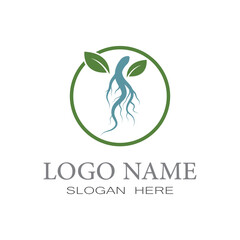 Ginseng icon Vector Illustration design Logo template