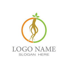 Ginseng icon Vector Illustration design Logo template