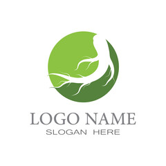 Ginseng icon Vector Illustration design Logo template