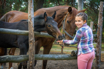 In the summer afternoon on the farm, a girl feeds a mare with a foal.