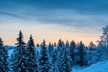 Fototapeta na wymiar beautiful winter sunrise in snowy Emmental