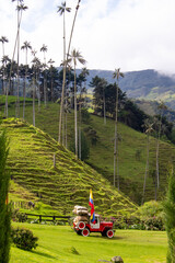 cocora valley, mountains in cocora valley