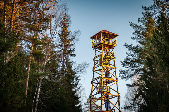 A viewing tower at the Blue Hills of Ogre. Latvia. Watchtower during sunset with trees.