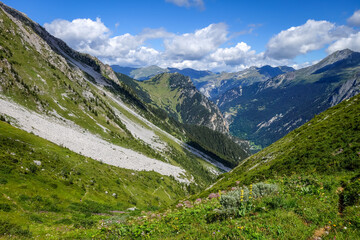 Mountain and pastures landscape in French alps