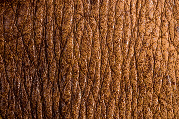 Old vintage genuine soft brown leather texture background, top layer with pores and scratches,...