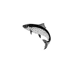 Ink Sketch of Salmon, Hand Drawn Vector Illustration of Fish Isolated on White Background
