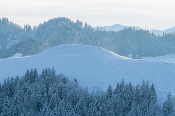 winter forest in Emmental, Switzerland