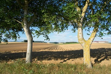 Fototapeta premium Seraucourt-le-Grand France - 28 July 2020 - Picardie countryside in Aisne Department in France