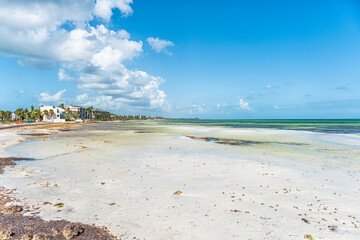 Key West, USA pier park landscape in Florida at ocean, sea near beach with coast coastline by...