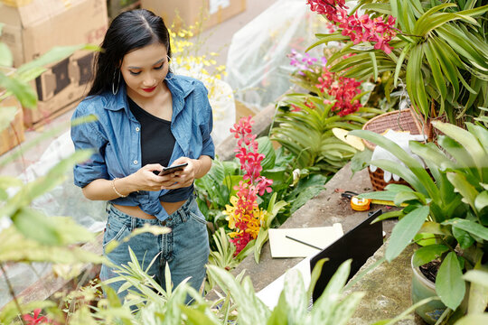 Beautiful young Vietnamese woman working in flower nursery and answering messages of customers on her smartphone