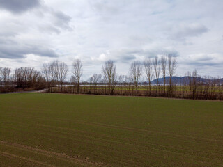 Agricultural field in Bavaria photographed in daylight