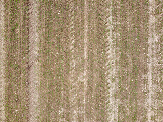 Agricultural field in Bavaria photographed in daylight