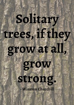 Solitary trees, if they grow at all, grow stronger quote by winston churchill over tree bark