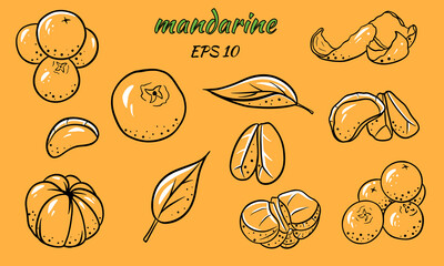 Set of vector illustrations of tangerines.