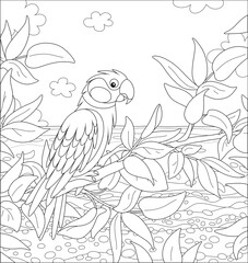 Obraz premium Amusing parrot perched on a tree branch in a tropical jungle of an exotic southern island, black and white outline vector cartoon illustration for a coloring book page