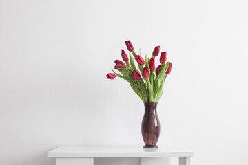 red tulips in glass vase on white background